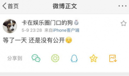 之前的吃瓜爆料有哪些,吃瓜爆料背后的真相与内幕